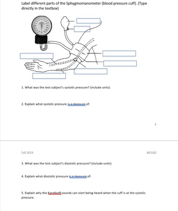 Solved Label different parts of the Sphygmomanometer (blood | Chegg.com