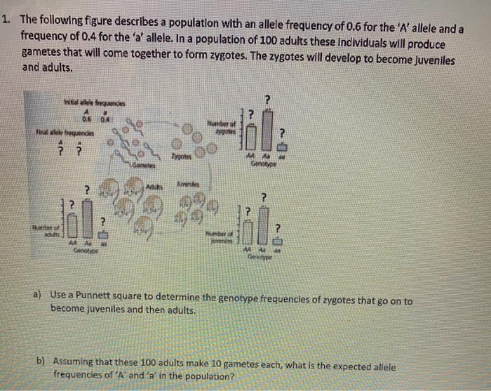 Solved 1. The Following Figure Describes A Population With | Chegg.com