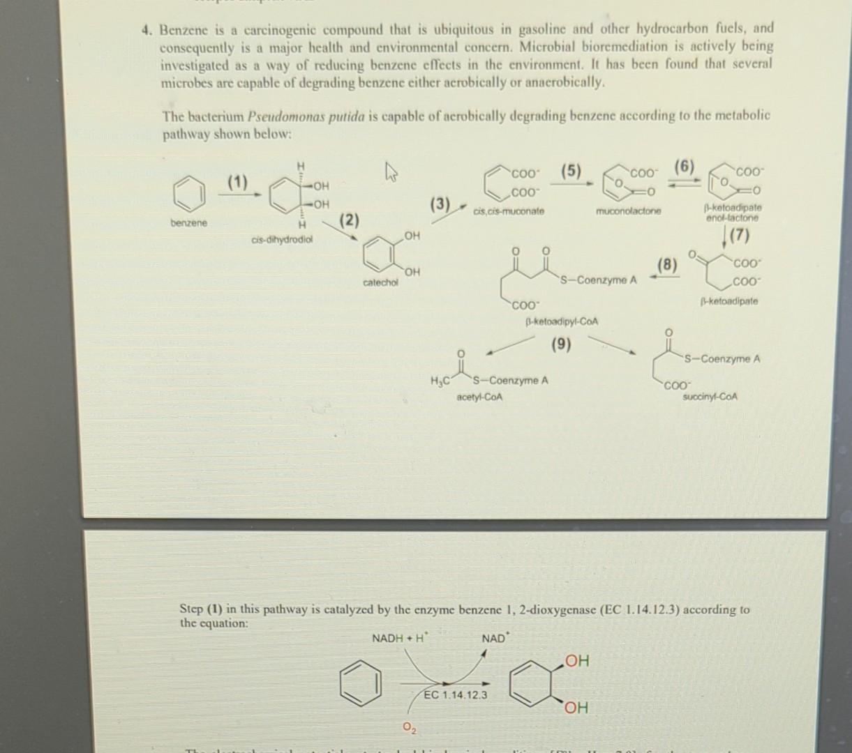 Solved 4 Benzene Is A Carcinogenic Compound That Is Chegg Com   Image 