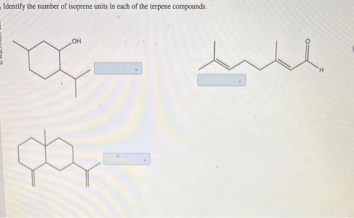 Solved Identify the number of isoprene units in each of the | Chegg.com