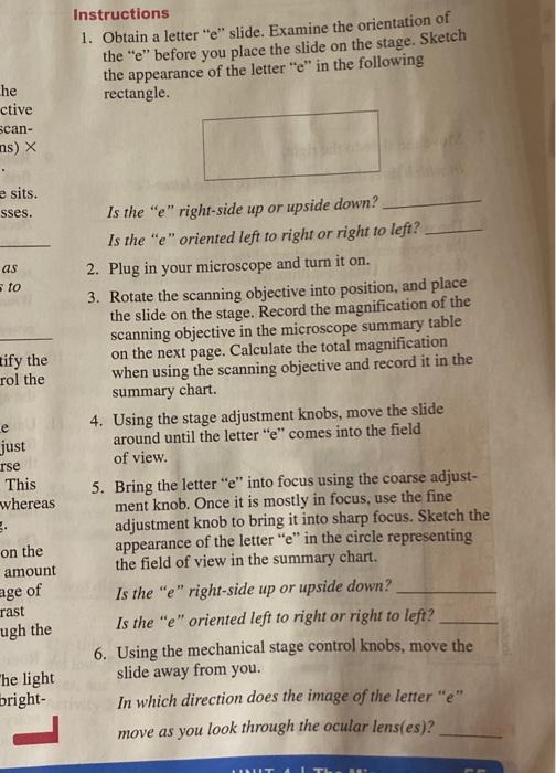 Instructions 1. Obtain a letter "e" slide. Examine