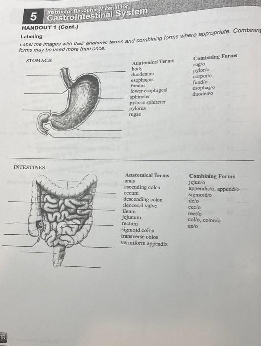Solved Instructor Resource Material for Gastrointestinal | Chegg.com
