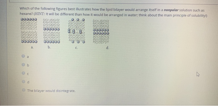 solved-which-of-the-following-figures-best-illustrates-how-chegg