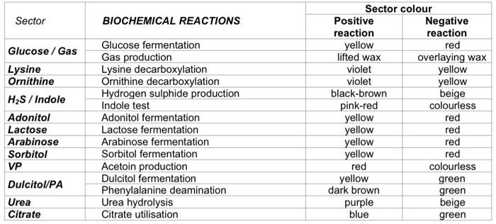 Solved FOR MICROBIOLOGY can someone please help me determine | Chegg.com