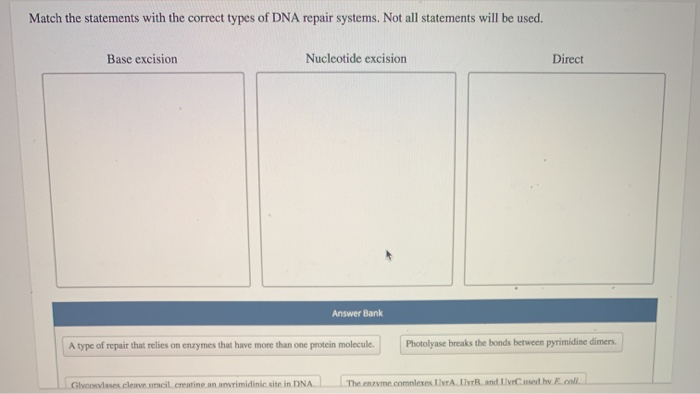 Match the statements with the correct types of DNA repair systems. Not all statements will be used.
Base excision
Nucleotide