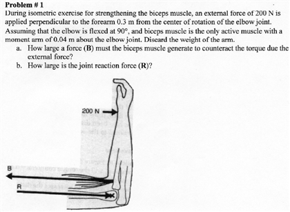 isometric exercises for elbow
