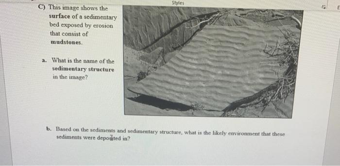 Solved Styles C) This image shows the surface of a | Chegg.com