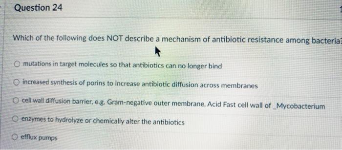 Solved You have isolated a bacterium from an infected | Chegg.com