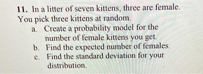 In a litter of seven kittens 2025 three are female