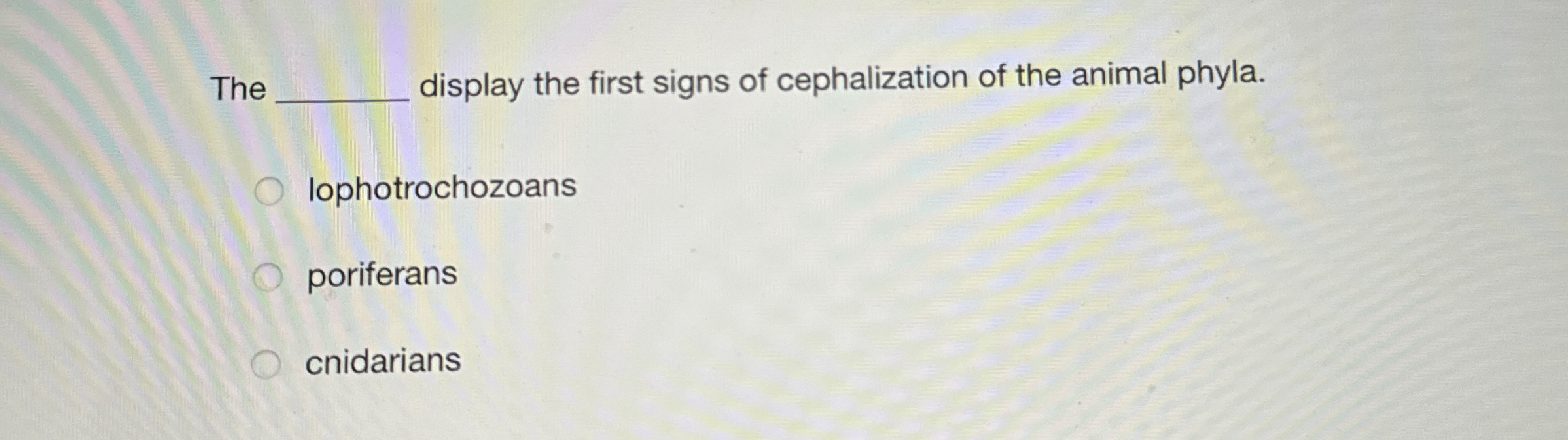Solved The ﻿display the first signs of cephalization of | Chegg.com