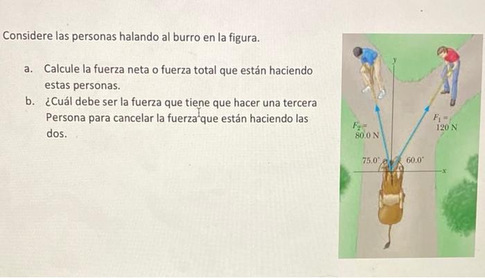 Considere las personas halando al burro en la figura. a. Calcule la fuerza neta o fuerza total que están haciendo estas perso