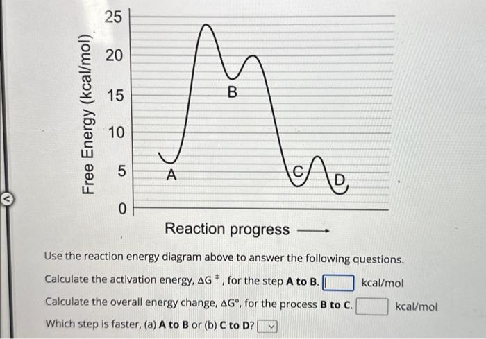 Solved Use The Reaction Energy Diagram Above To Answer The | Chegg.com