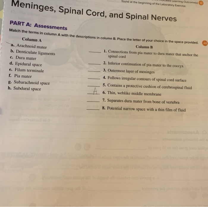 Solved match the term in column a with the description in | Chegg.com