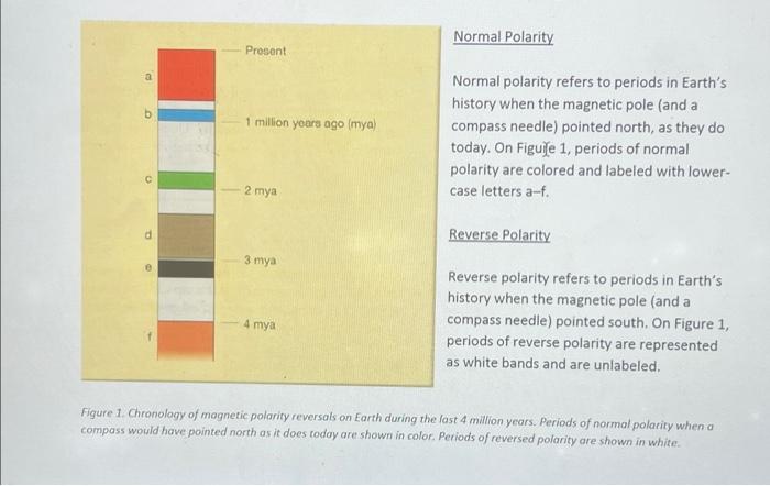 Solved Normal polarity refers to periods in Earth's history | Chegg.com