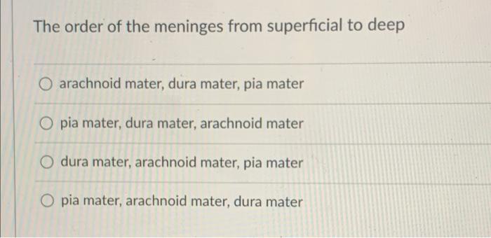 Solved The order of the meninges from superficial to deep O | Chegg.com