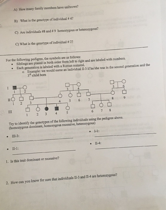 Genetics Pedigree Worksheet 1 Use The Below Pedigree Chegg Com