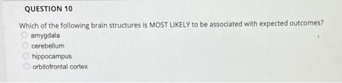 Solved QUESTION 10 Which of the following brain structures | Chegg.com