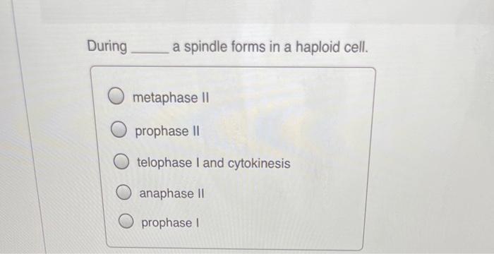 Solved During A Spindle Forms In A Haploid Cell Metaphase Chegg