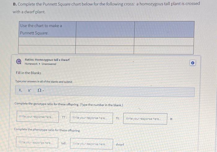 Solved A. Complete the Punnett Square chart below for the | Chegg.com
