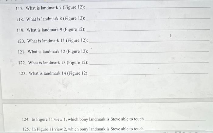 117. What is landmark 7 (Figure 12):
118. What is landmark 8 (Figure 12):
119. What is landmark 9 (Figure 12):
120. What is l