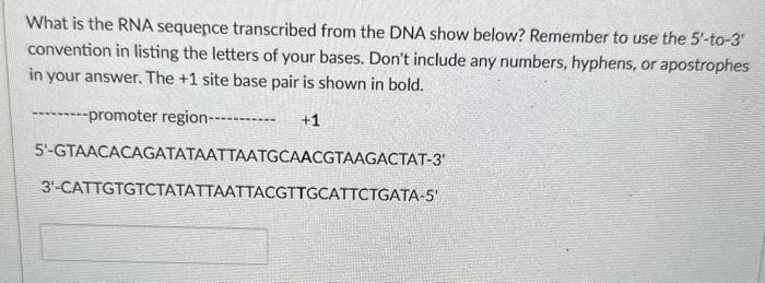 Solved What Is The Rna Sequence Transcribed From The Dna