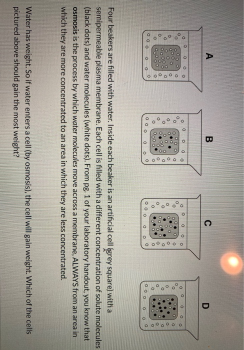 Solved 0 0 0 0 OOOOO oºoºoo OOOOOOO OOO OOOO OOO Oo 0 000 Oo | Chegg.com