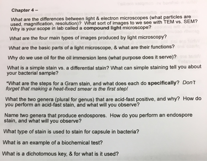 How Are Compound Light Microscopes And Electron Alike Shelly Lighting