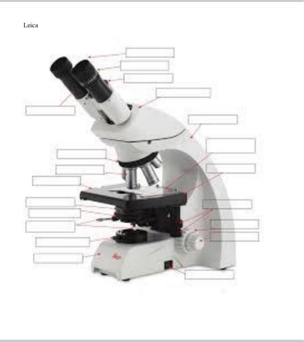 Solved Nikon Parts of the compound microscope Write the | Chegg.com