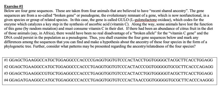 Exercise #1 Below are four gene sequences. These are | Chegg.com