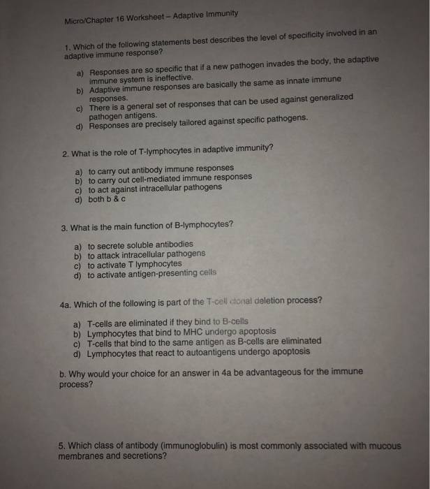 Solved Micro Chapter 16 Worksheet Adaptive Immunity 1 Chegg