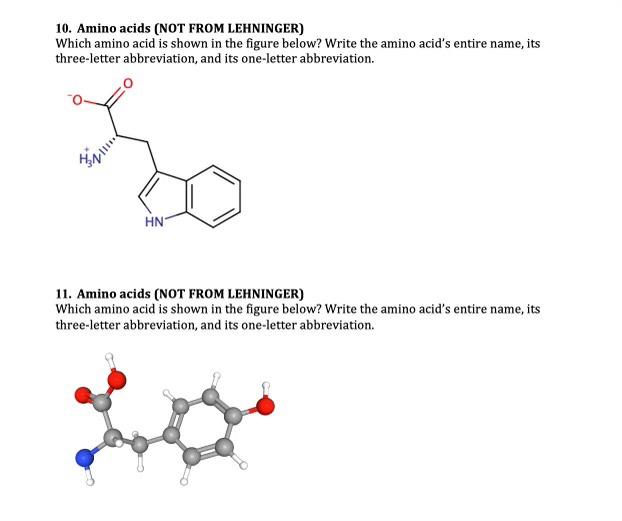 Solved 10. Which amino acid is shown in the figure below? | Chegg.com