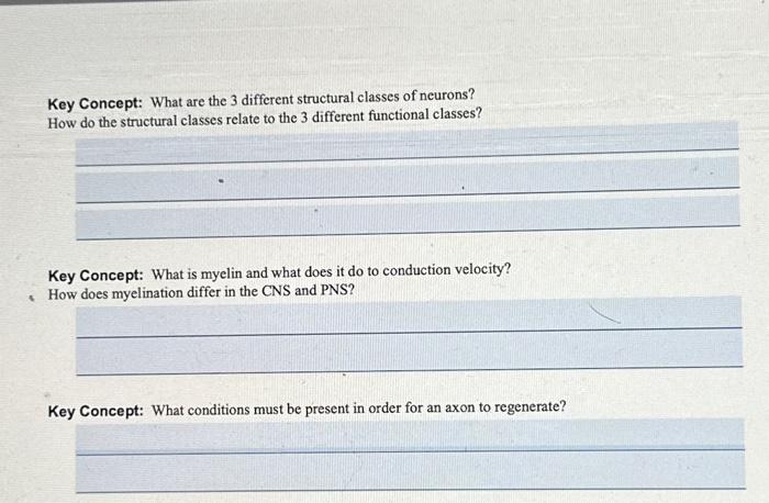 Solved 1. What are the 3 different structural classes of | Chegg.com