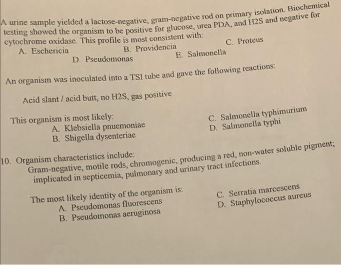 Solved A urine sample yielded a lactose-negative, | Chegg.com