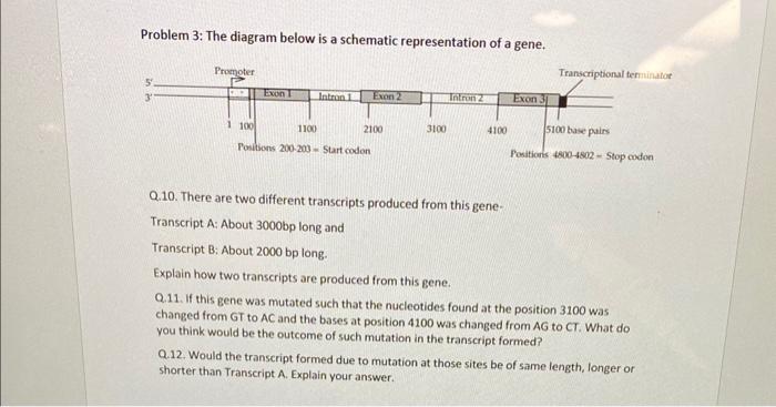 Solved Problem 3: The diagram below is a schematic | Chegg.com