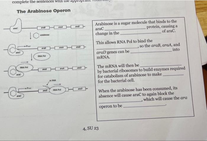 student submitted image, transcription available below