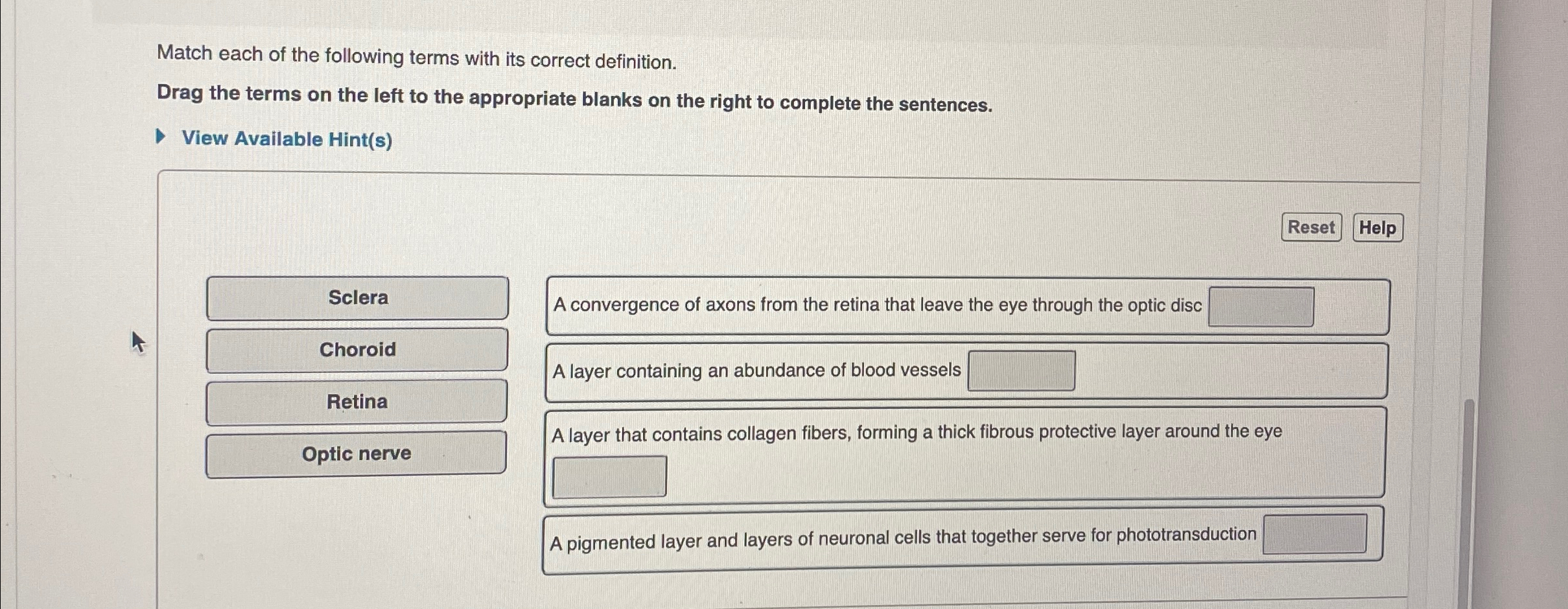 Solved Match each of the following terms with its correct | Chegg.com