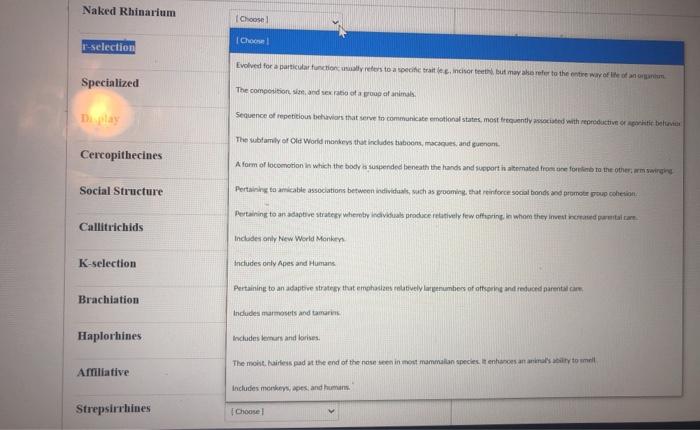 Solved Naked Rhinarium Choose Cho T Selection Evolved For A Chegg Com