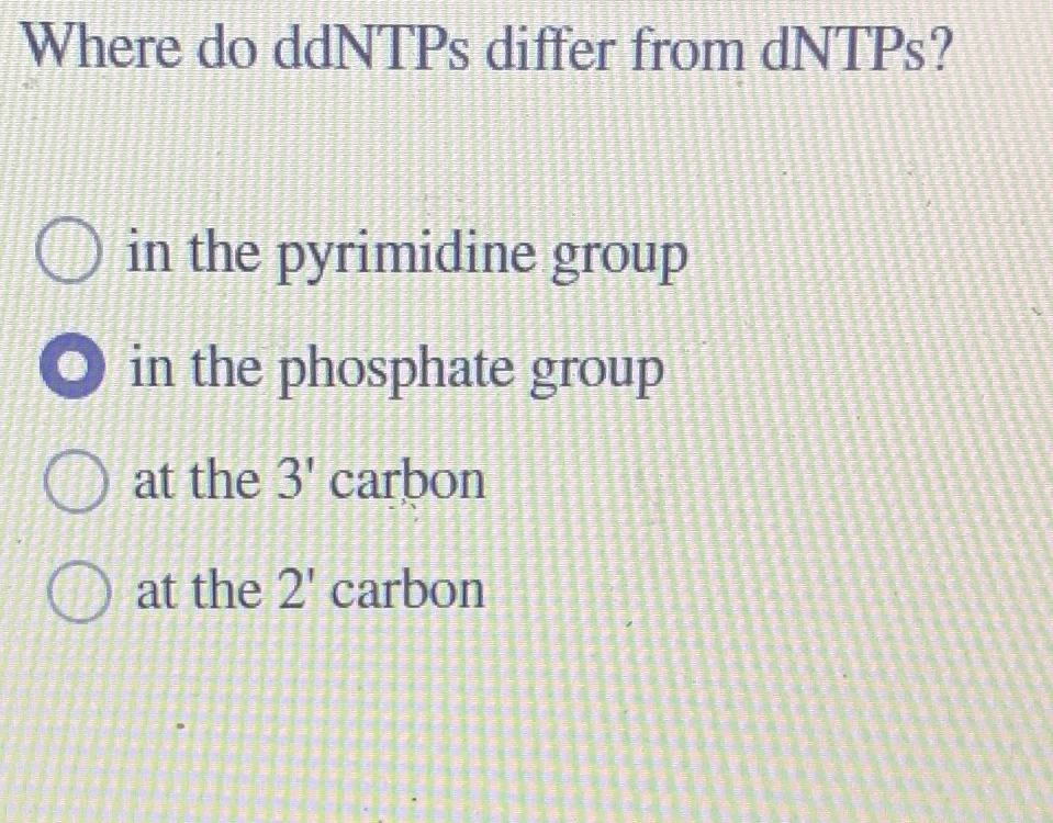 Solved Where do ddNTPs differ from dNTPs?in the pyrimidine | Chegg.com