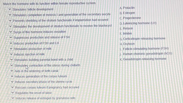 Solved Match the hormone with its function within female | Chegg.com