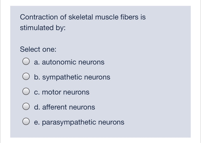 Unmyelinated Axon Conduction Everything You Need To Know - sqt1xeh