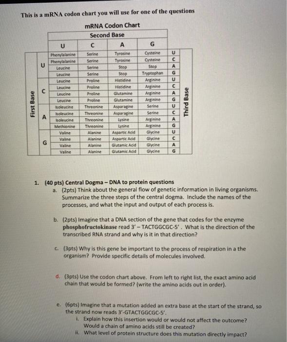 Solved This is a mRNA codon chart you will use for one of | Chegg.com