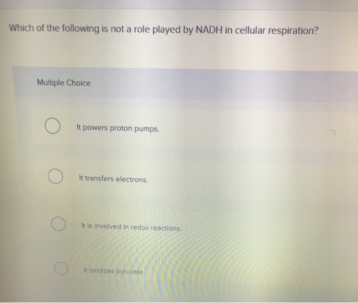 Solved Which Of The Following Is Not A Role Played By NADH Chegg
