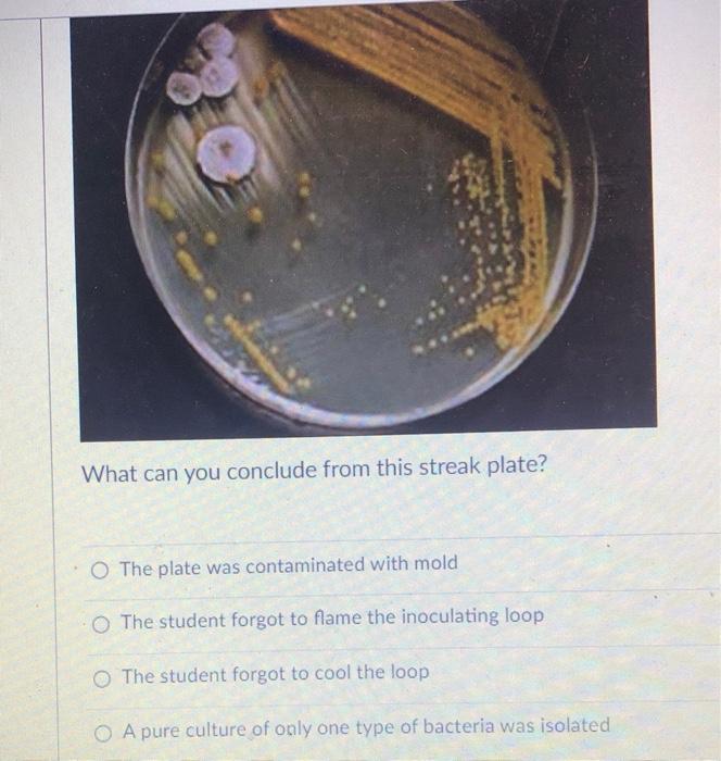 Solved What can you conclude from this streak plate? The