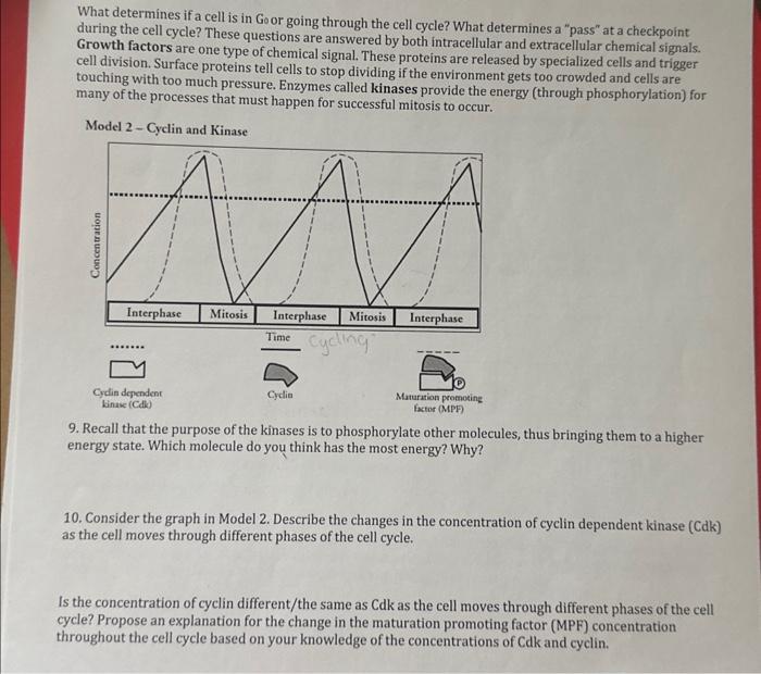 solved-what-determines-if-a-cell-is-in-go-or-going-through-chegg