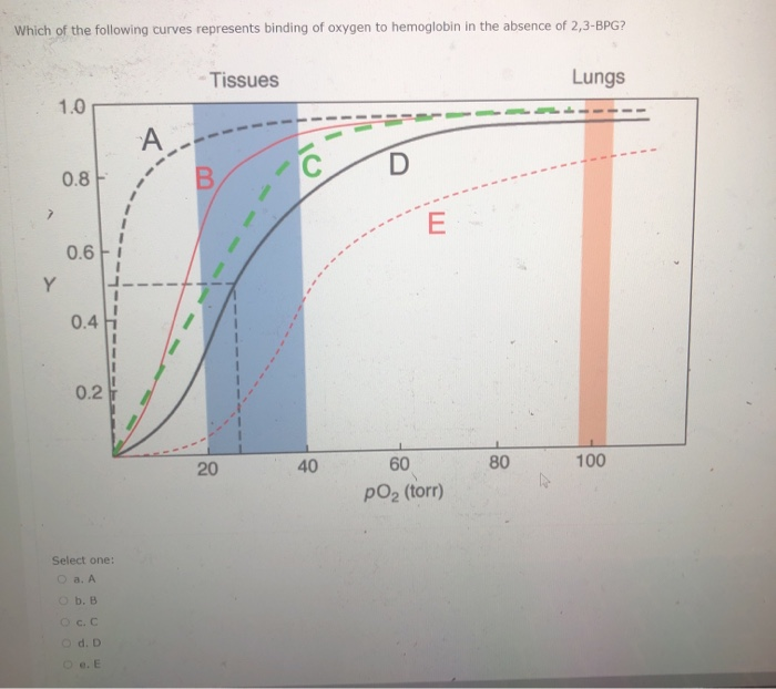 Solved Which of the following curves represents binding of | Chegg.com