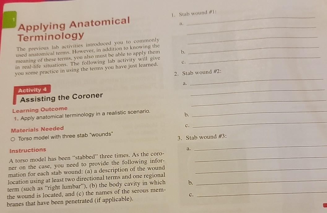 Solved 1. Stab wound 1 Applying Anatomical Terminology b.