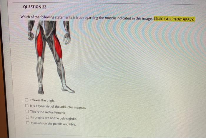Solved Identify the function of the structure in the image | Chegg.com