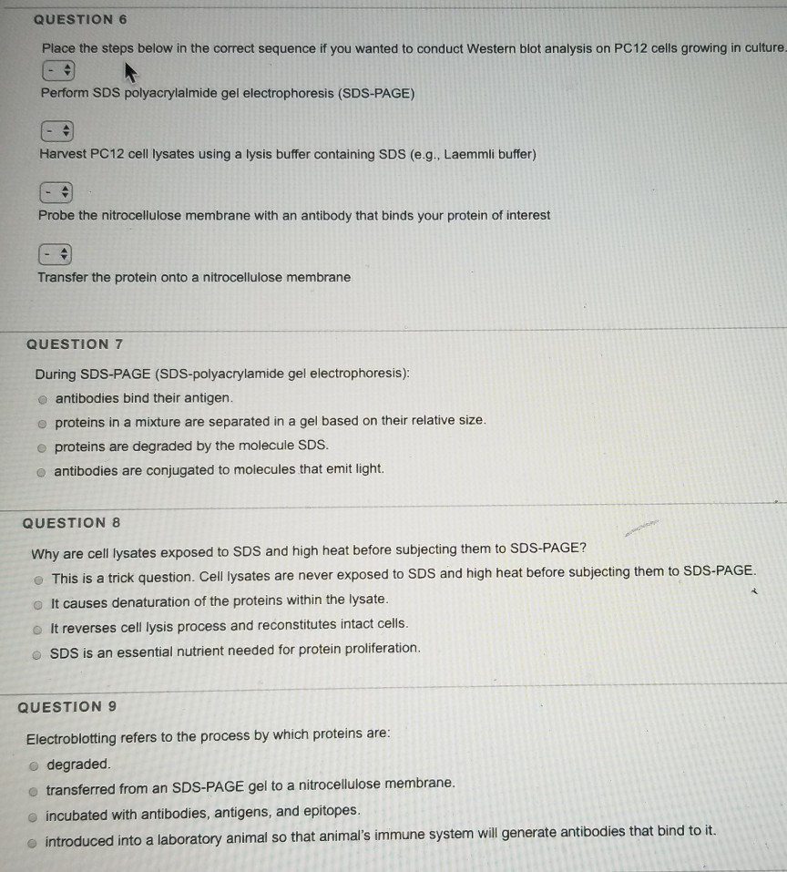 Solved QUESTION 6 Place the steps below in the correct | Chegg.com