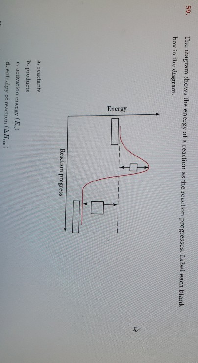 Solved 59. The diagram shows the energy of a reaction as the | Chegg.com