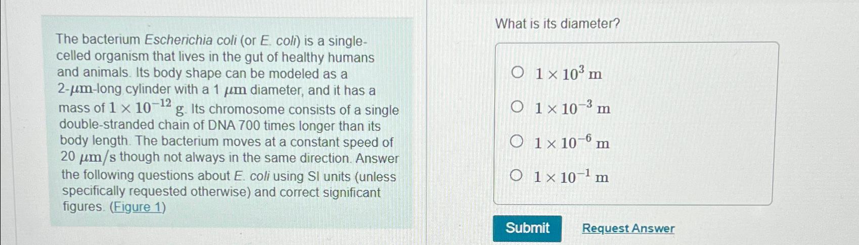 Solved The bacterium Escherichia coli (or E ﻿coll) ﻿is a | Chegg.com